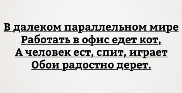 21 снимок, в которых вся ирония фразы «Доброе утро!»