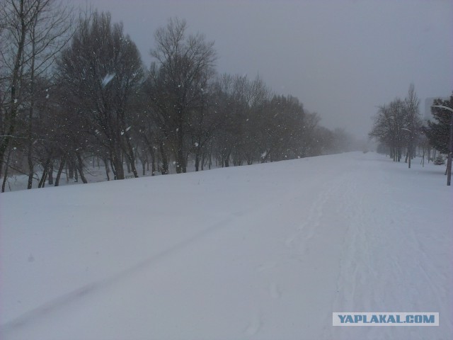 Весна в Днепре...