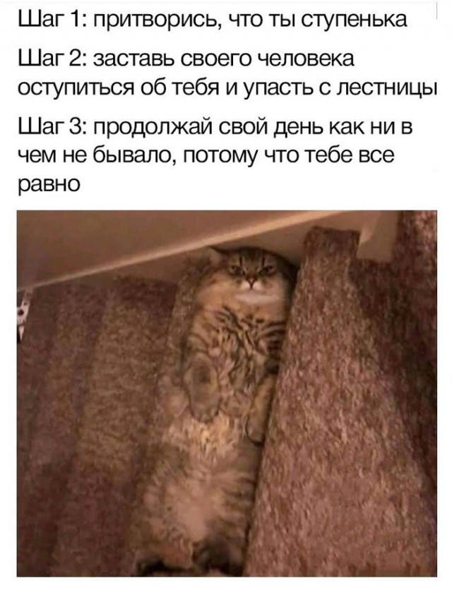 Немного картинок в этот вторник