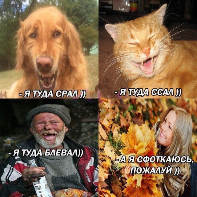 Мрачноватый юмор