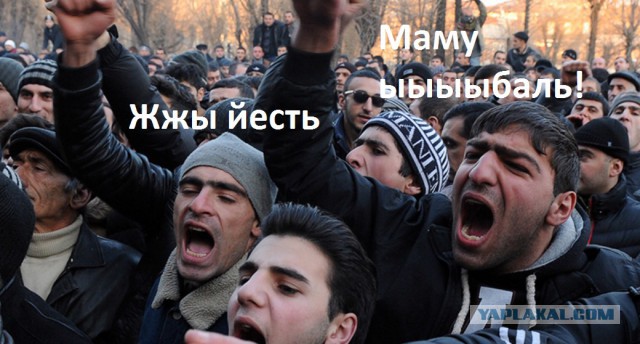 Тупик «толерантной Европы»: СМИ Швеции показали масштаб преступлений...