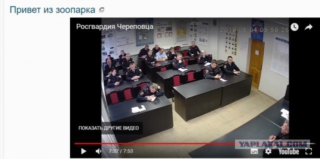 Привет из зоопарка