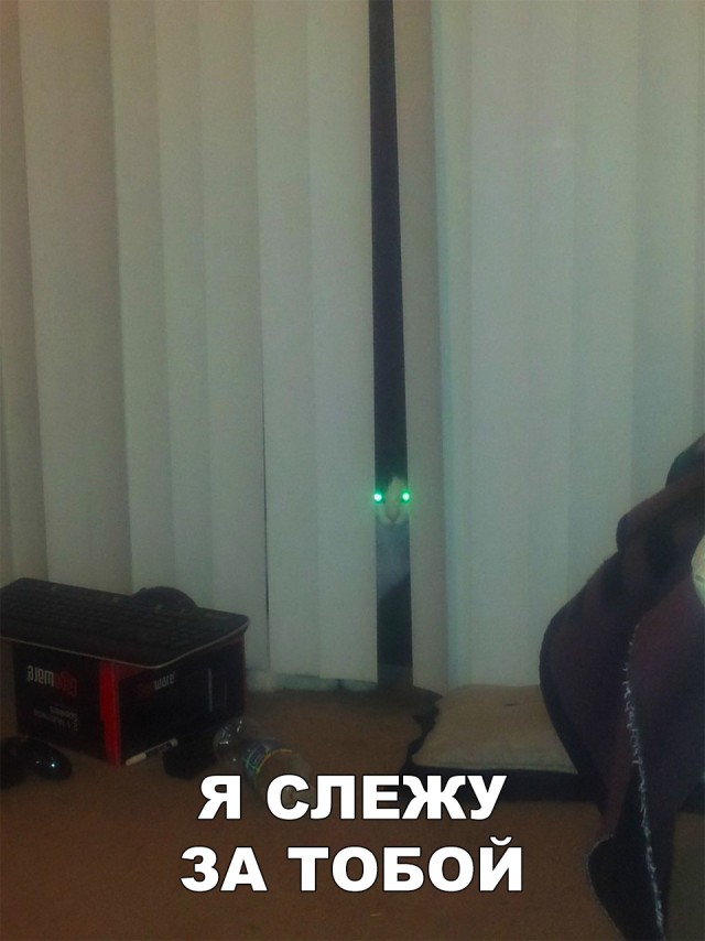 Немного милоты