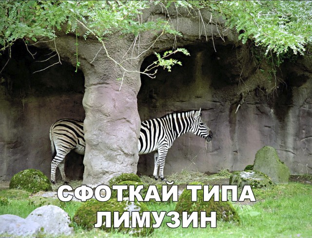 Нестандартный юмор