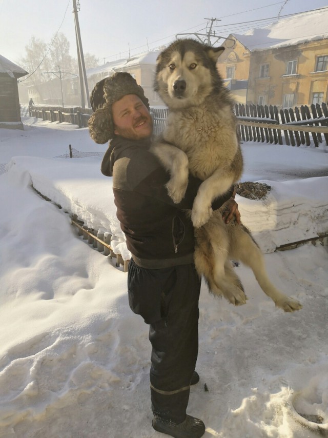 Живность из сети