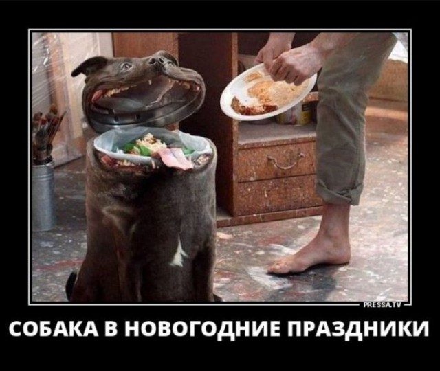 Картинки в черных рамках с подписями