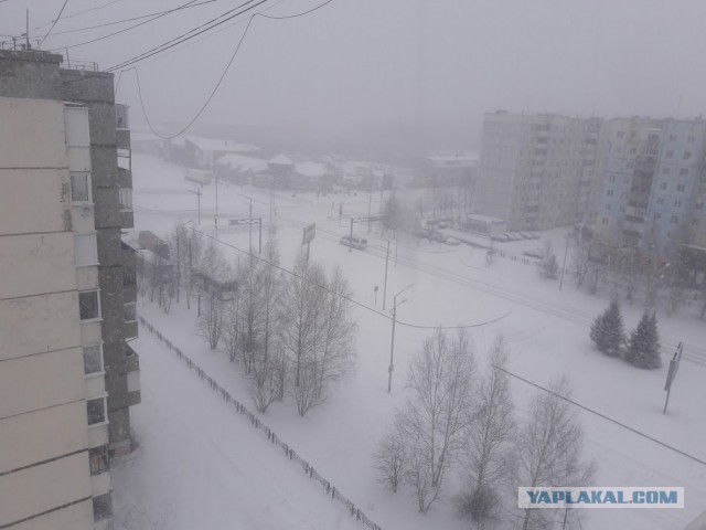 Добро пожаловать в Сибирь 28.04.2019