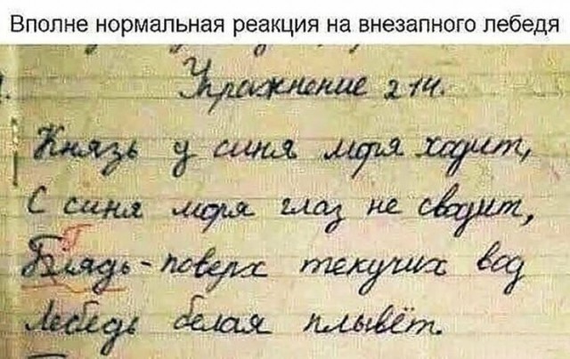 Прикольные комментарии и высказывания из Сети