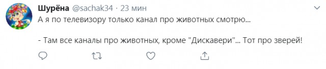 Прикольные комментарии и высказывания из Сети