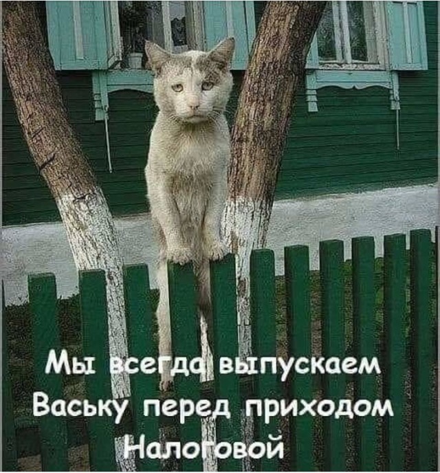 Силуанов объяснил, почему не надо сейчас смягчать налоговую политику