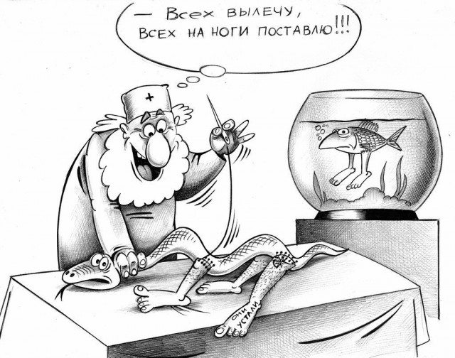 Помотало же Айболита по свету!