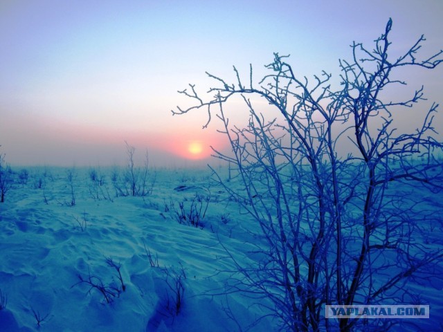 Зимняя суровая Якутия