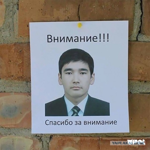 Когда начальник отошёл... а тут министр на видеосвязи