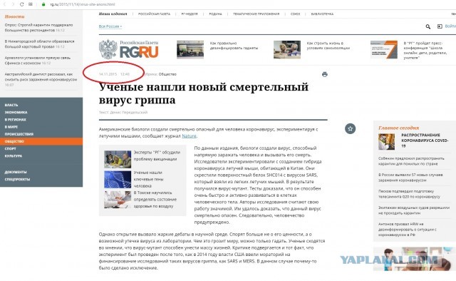 В США нашли реальное лекарство от коронавируса