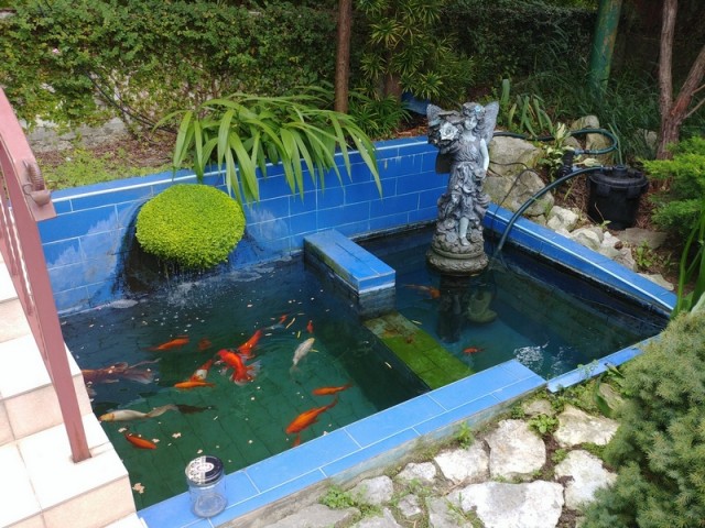 Декоративный водоём