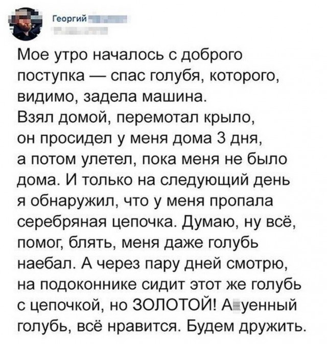Бредзона 14.04.2020