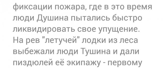 Мэр сообщил о попытке заподозренного в поджоге леса "замять дело"