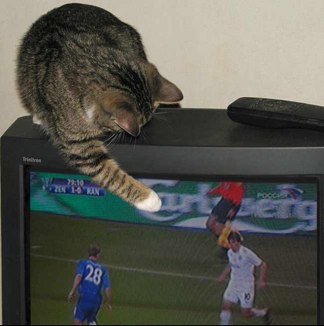 Я сам уже хоть и. Я хочу хоть с одним человеком обо всем говорить как с собой. Одна цитаты. Я соскучилась картинки. Мемы че.