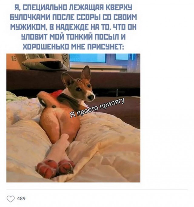 Ещё немного слегка пошлых картинок с надписями 16+ (23.06)