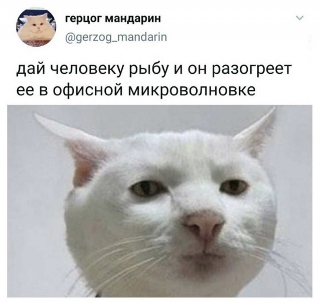 Юмор в картинках 8.12.20