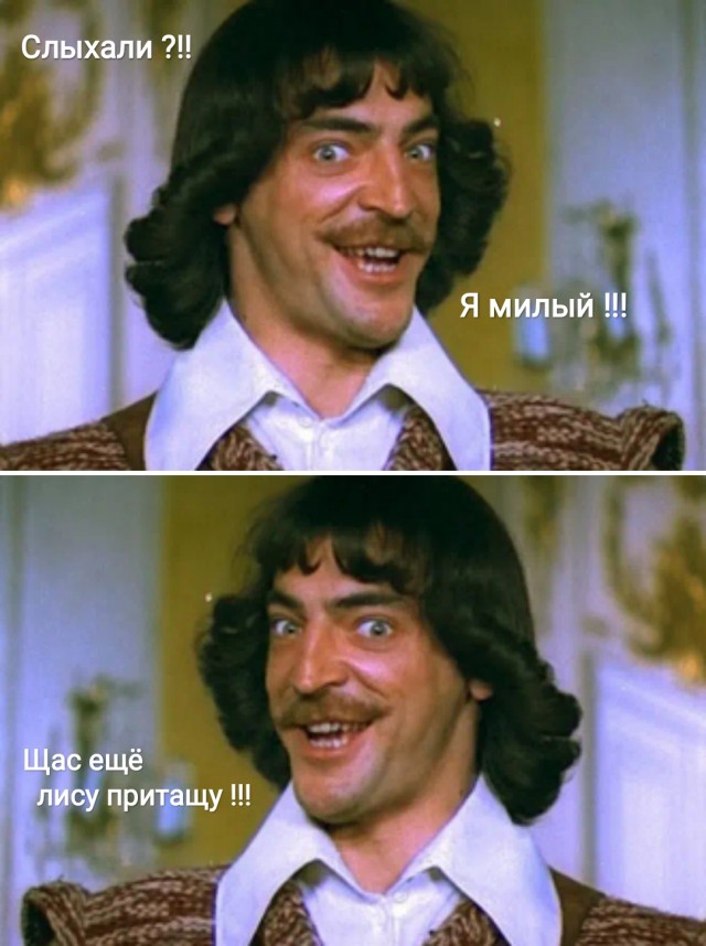 Лисички, картинки