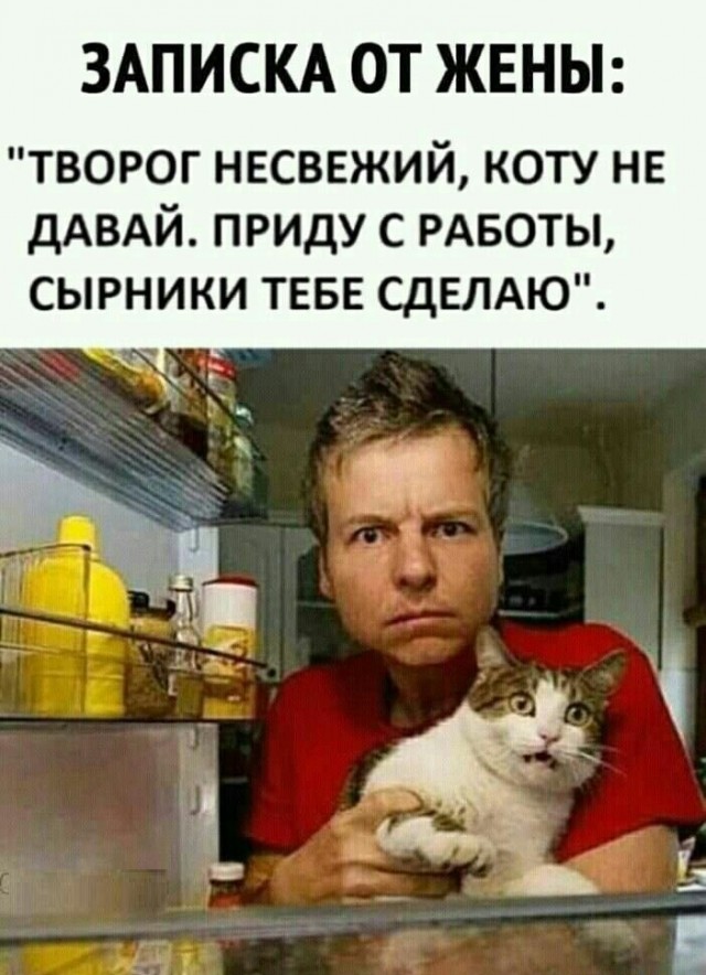 Картинки с надписями и котами