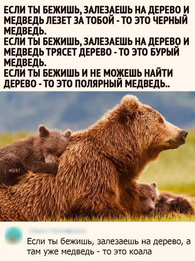 Картинки и мемы для настроения 14.04.2021