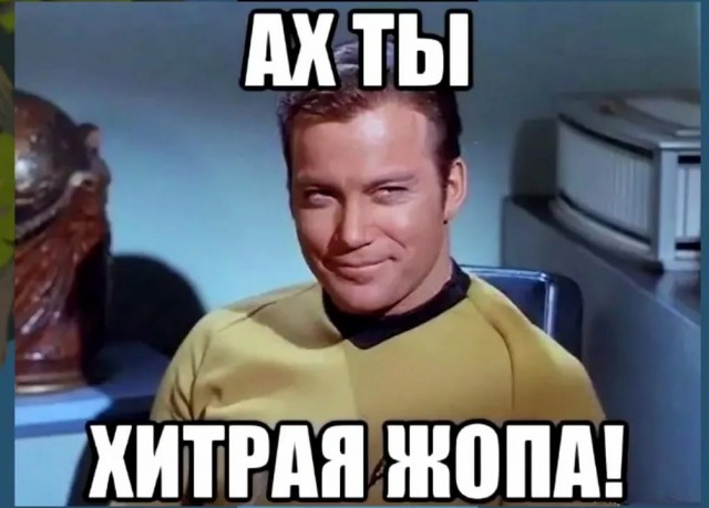 Наше пополнение. Мейн-кун
