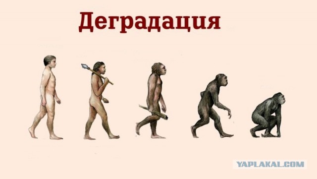 Ученые доказали пользу куннилингуса для здоровья