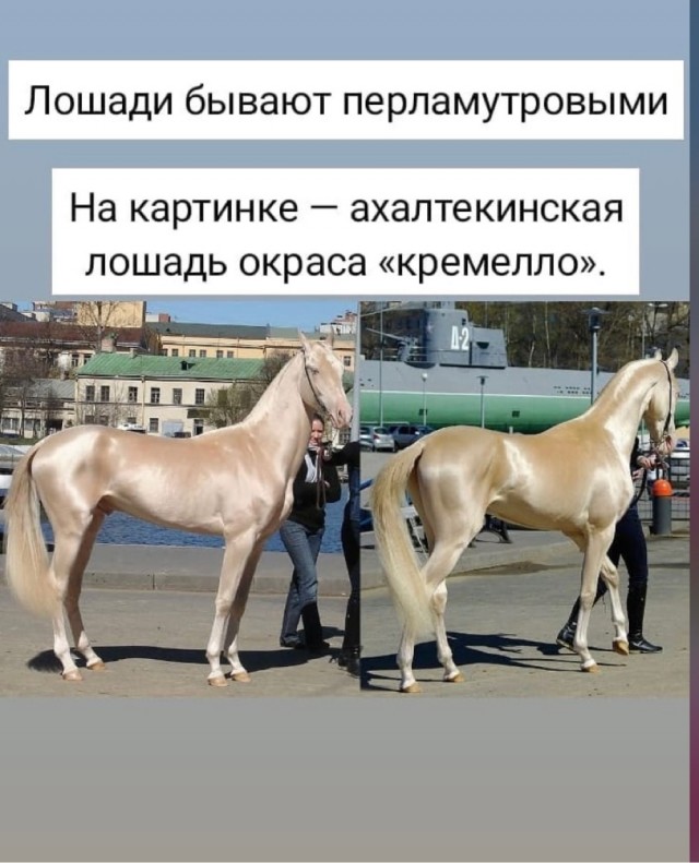 Картинки на понедельник 21.06.2021