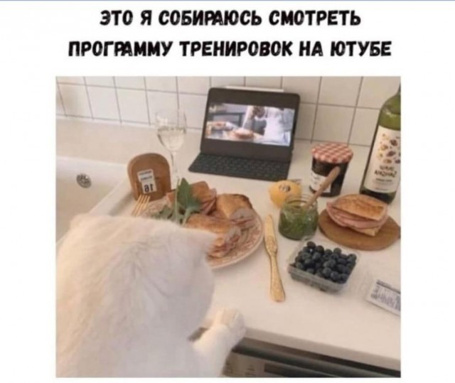 Картинки и мемы для настроения