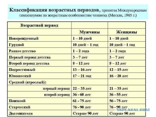 Силовики пришли с обысками к блогерше Клаве Беловой