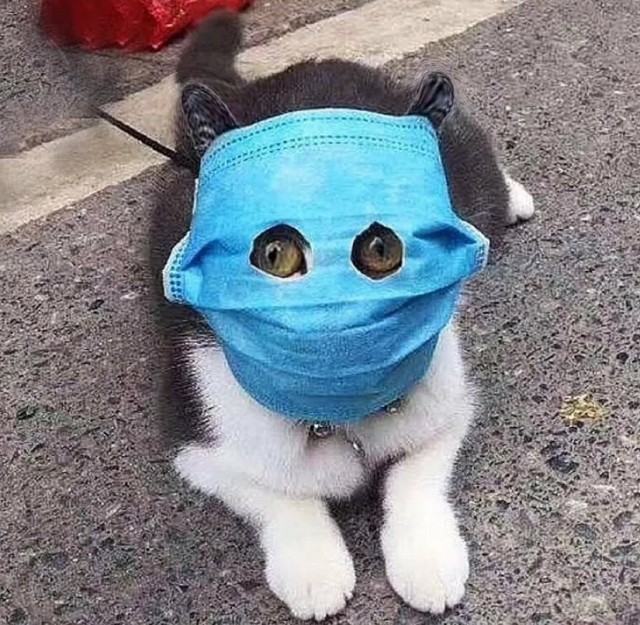Ну, понеслась!