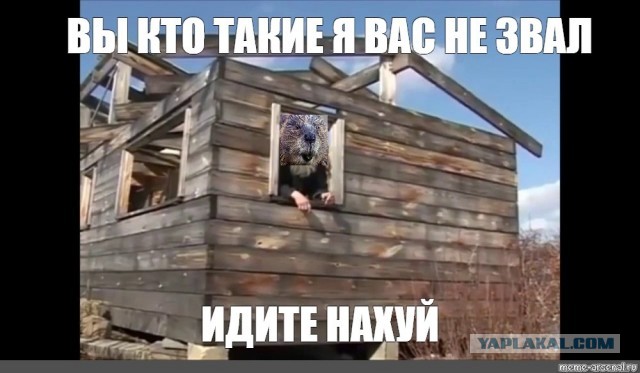 Вдруг откуда ни возьмись появился ...