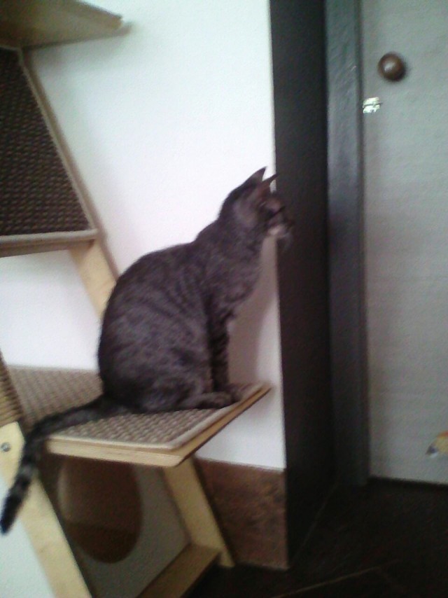 Котовторниковское