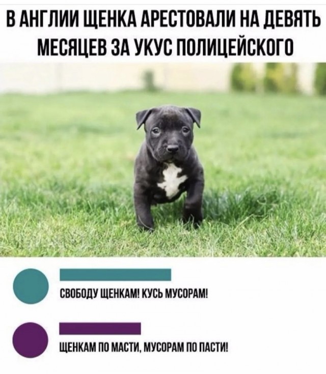 Картинки с надписями и всякие жизненные фразы