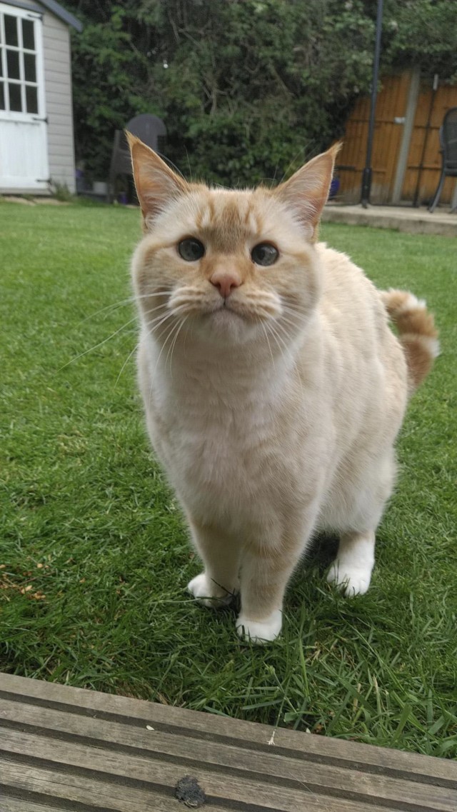 Ну, поехали в котоввторник!