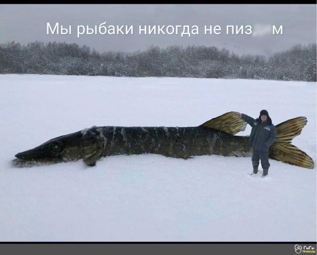 Рыбаки есть на сайте?