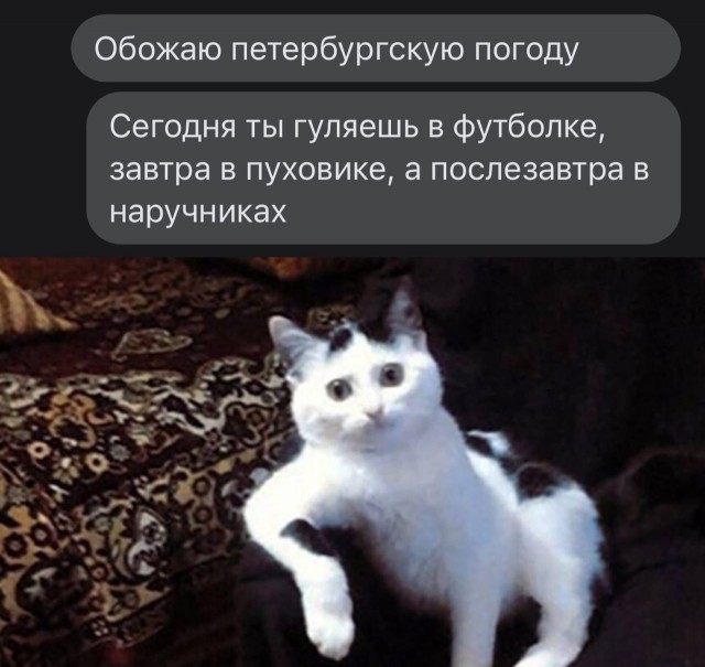 Так себе картинки 10.05.22