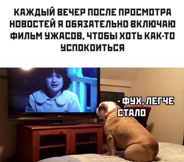 Пандемия съехавших крыш - разновидности болезни. Россия и мир. Часть 37