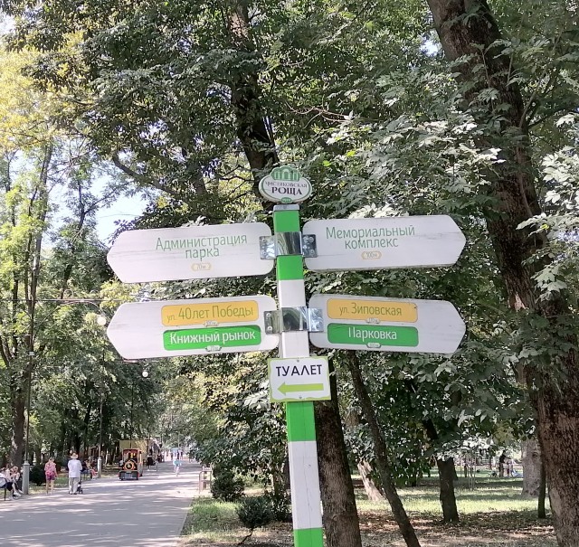 Какое последнее фото у вас в телефоне?