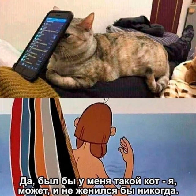 Картинки и мемы, всем хороших выходных