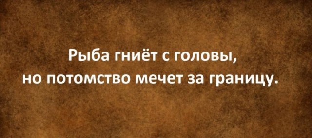 Картинки хз
