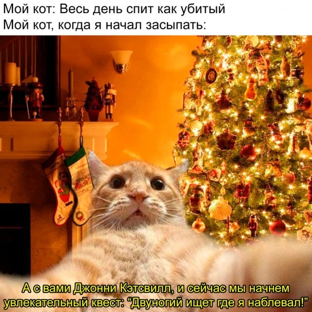 Картинки и мемы для настроения - 125
