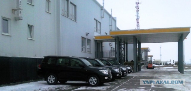 Плевок в душу японскому автопрому