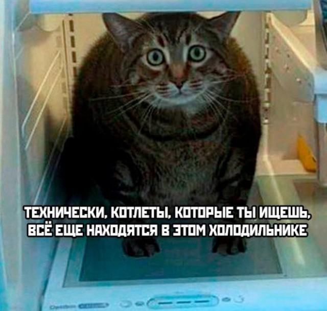 Картинки и мемы. Выходные близко...