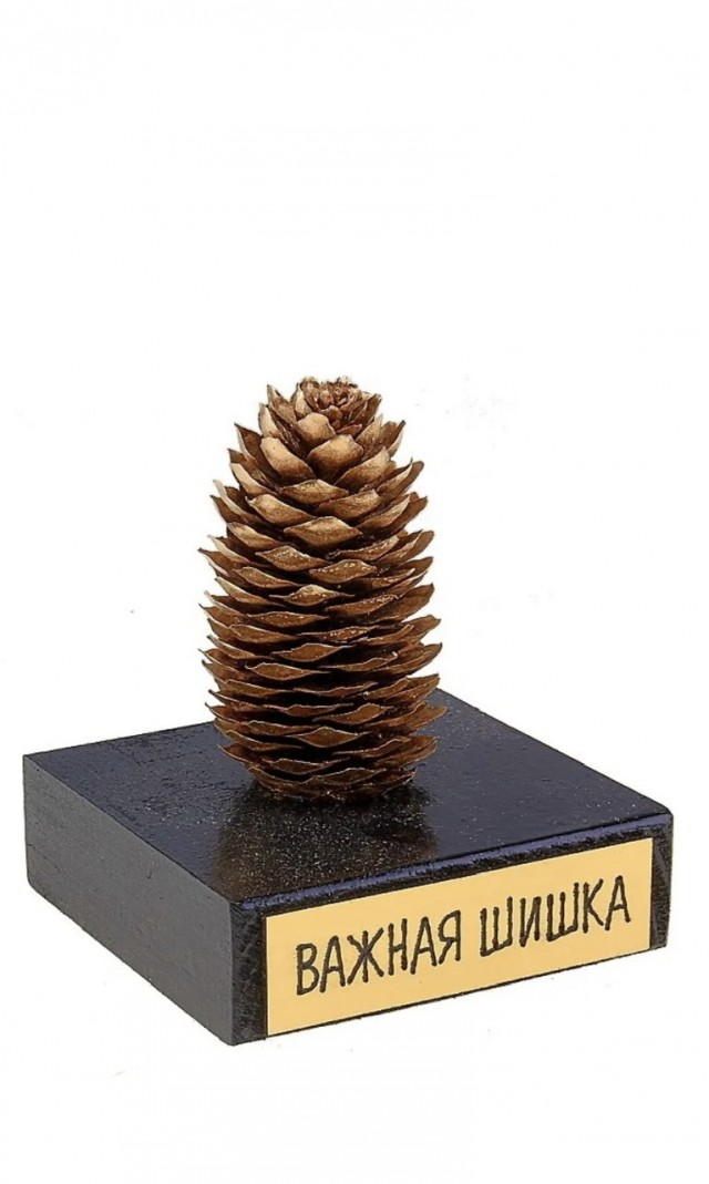 Путин приехал посмотреть, как обрабатывают шишки в Архангельской области