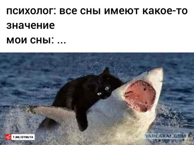 Кусь