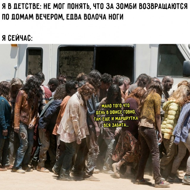 Весёлый полтишок 08.09.23