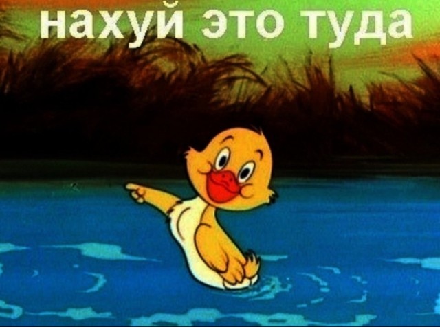 Бюджетная женщина выглядит так